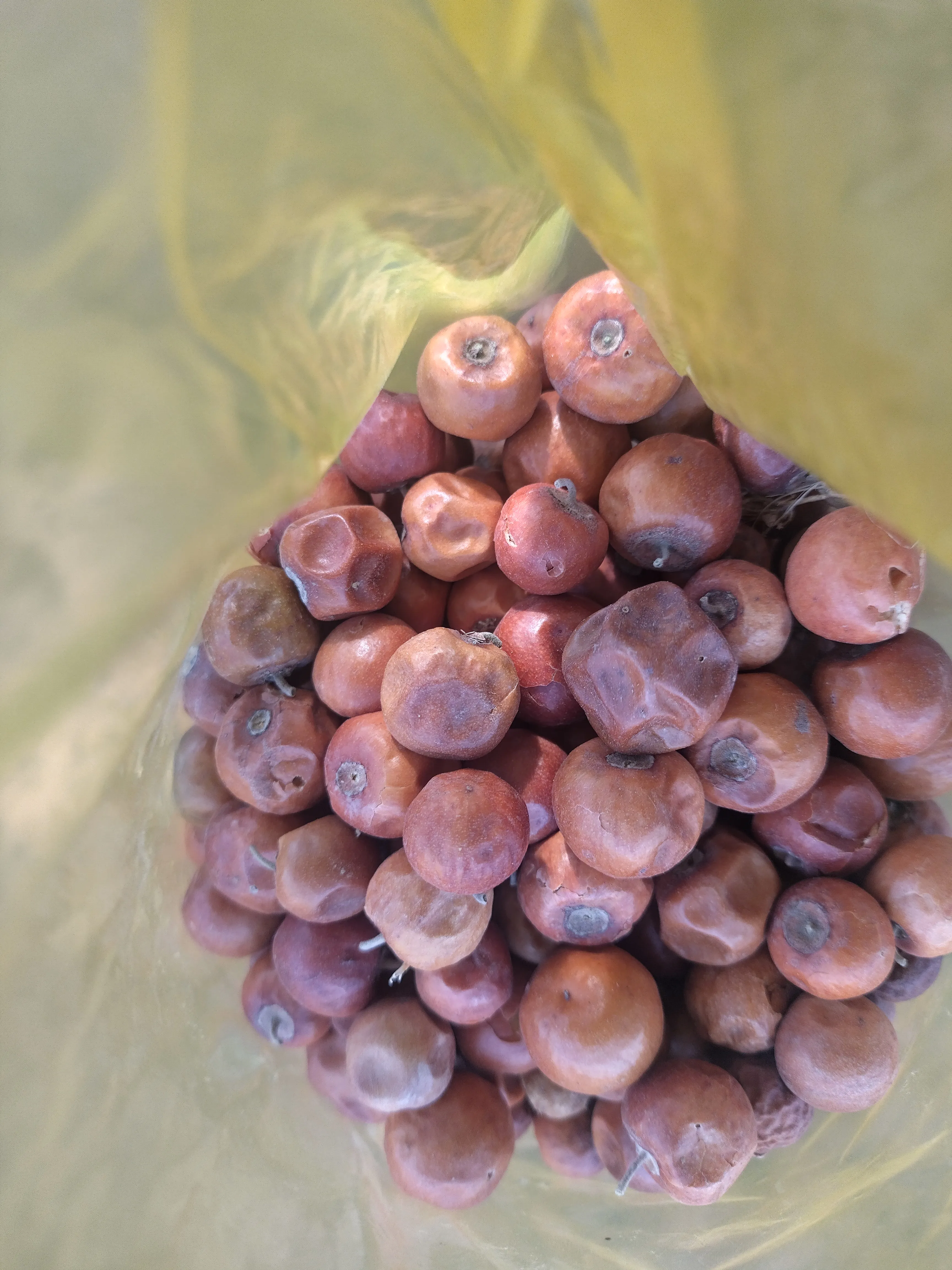 Groundnuts for sale at a Senegalese market