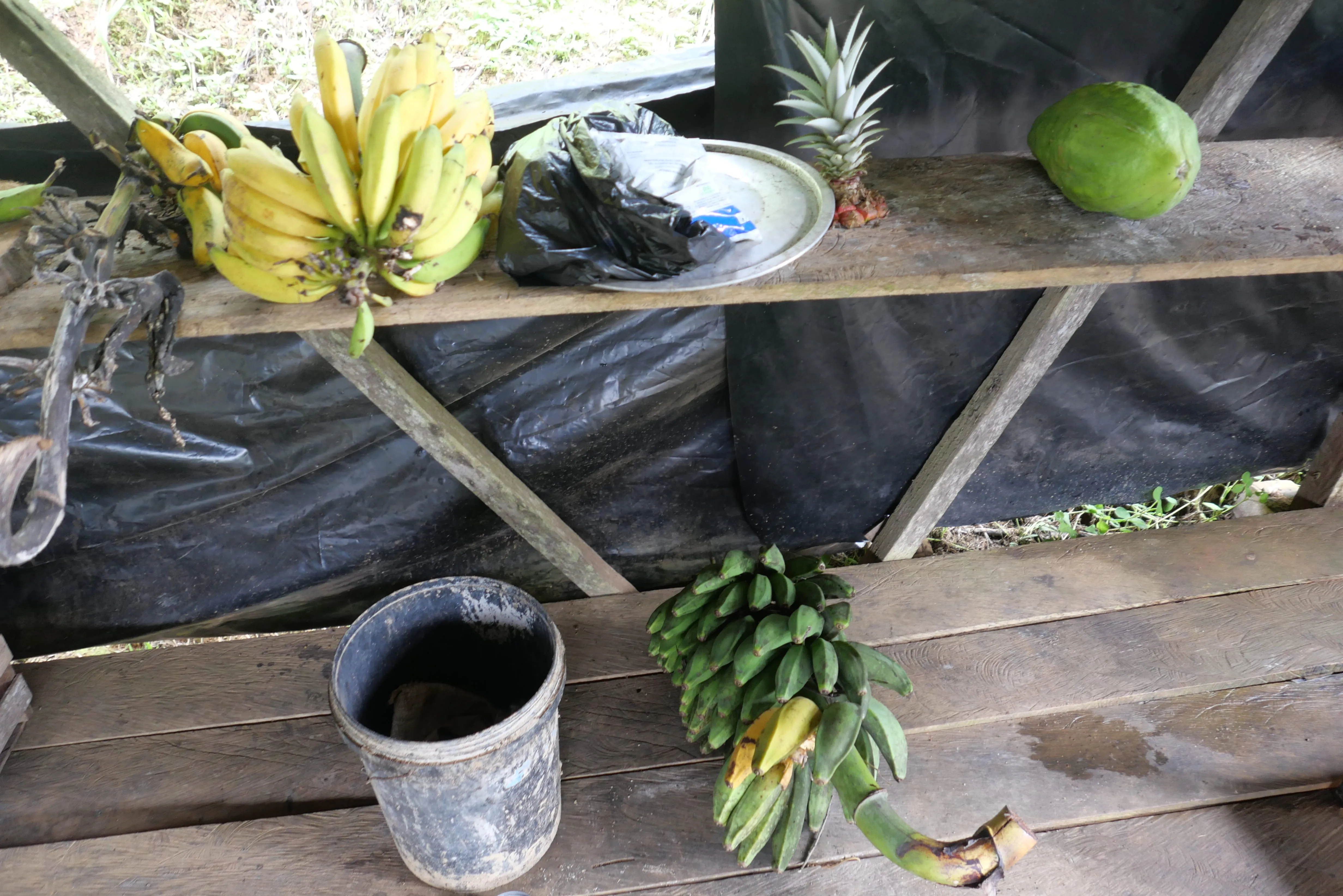 Some bananas