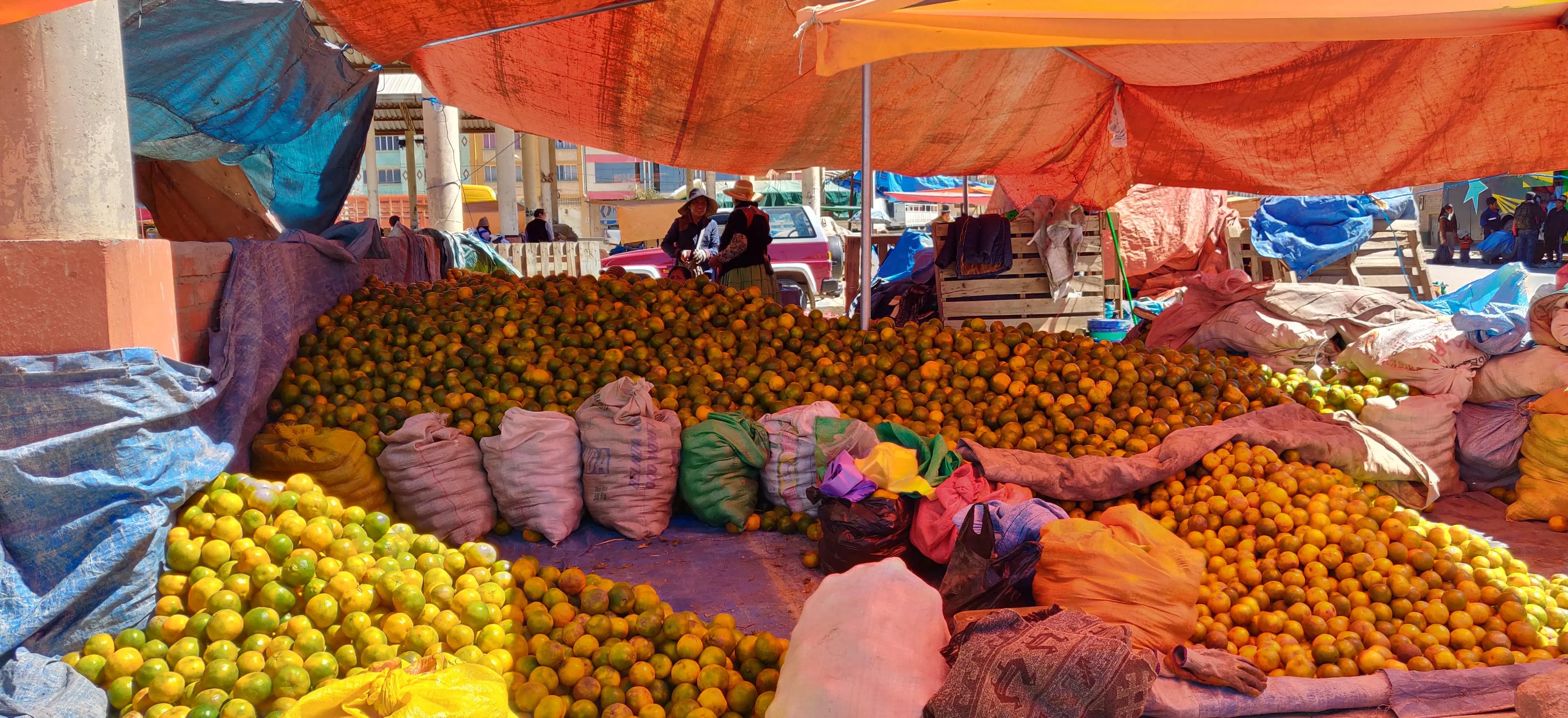 Inside a Bolivian market