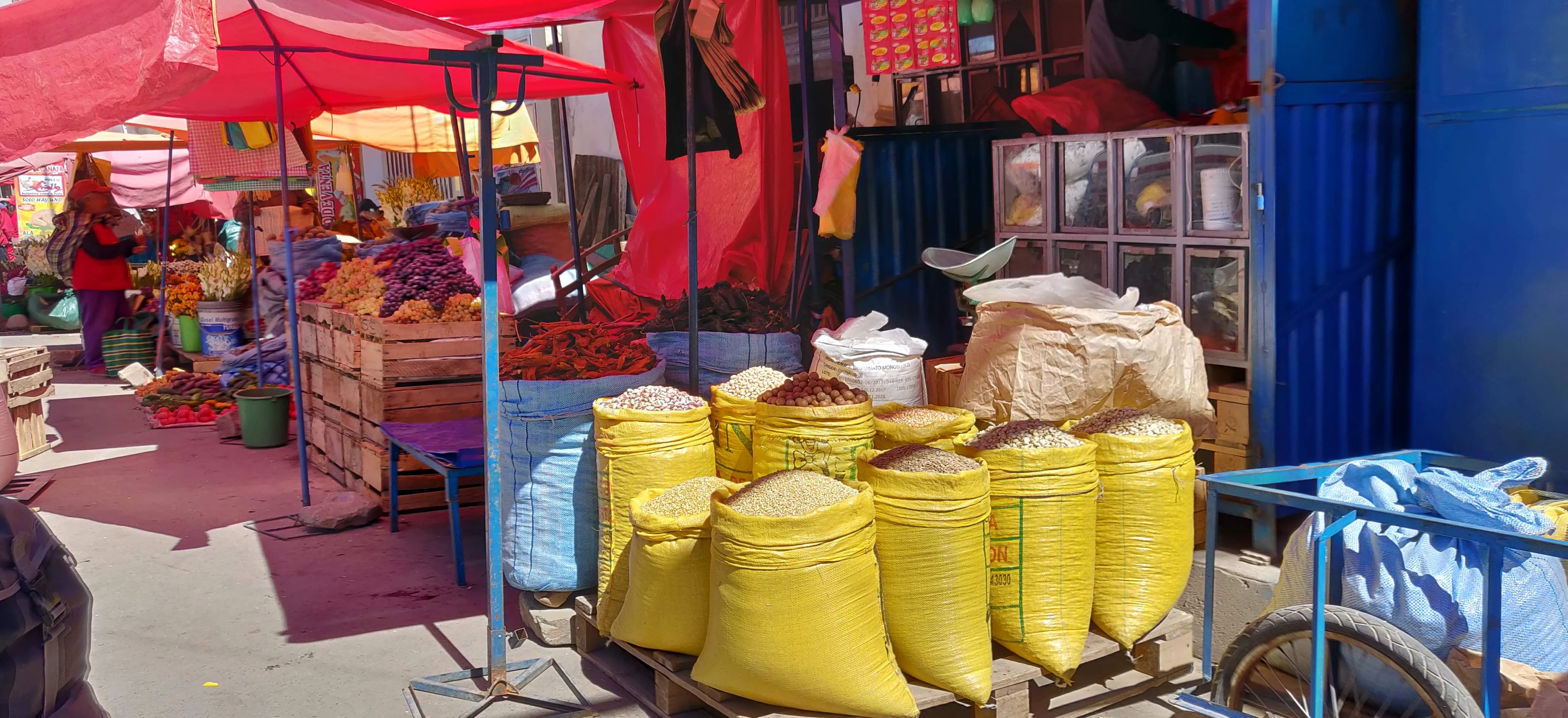 Legume and grain sacks