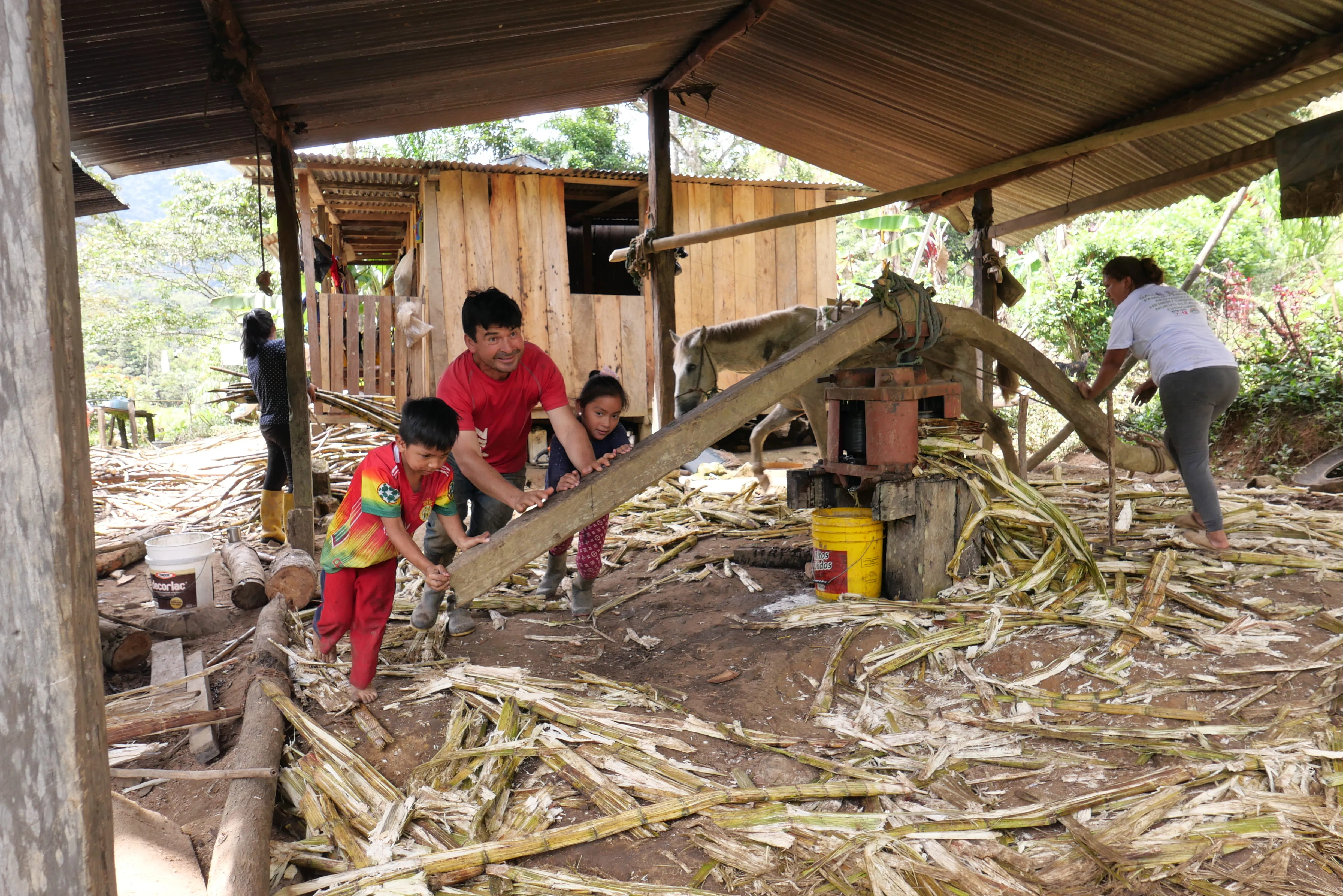 Panela production