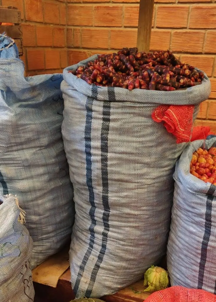 Inside a Bolivian market