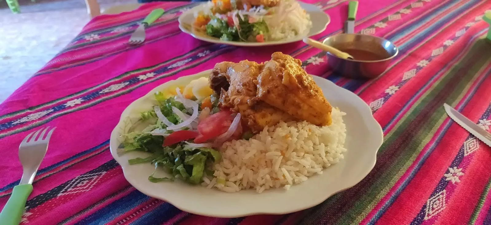 Peruvian chicken and rice
