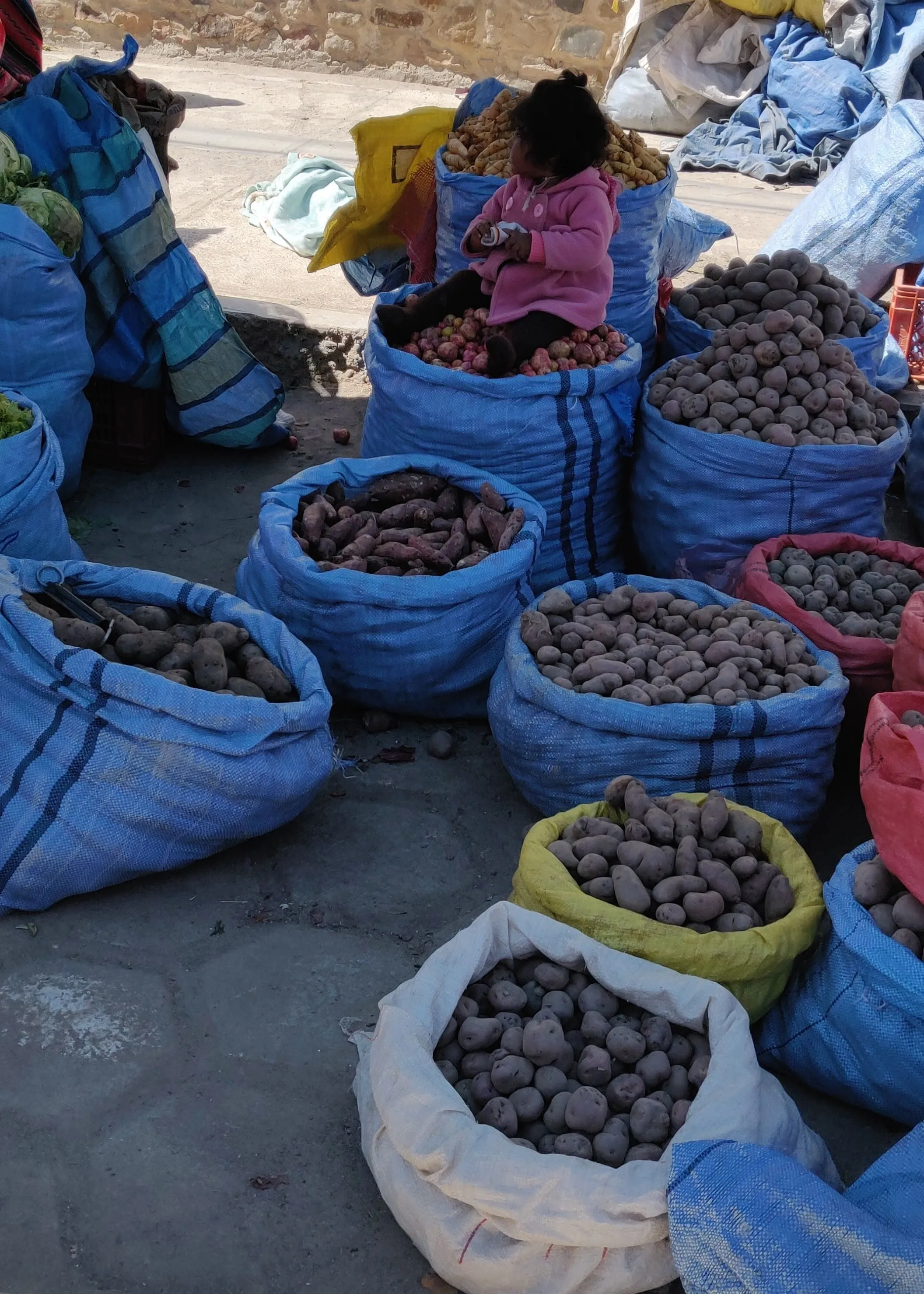 Inside a Bolivian market