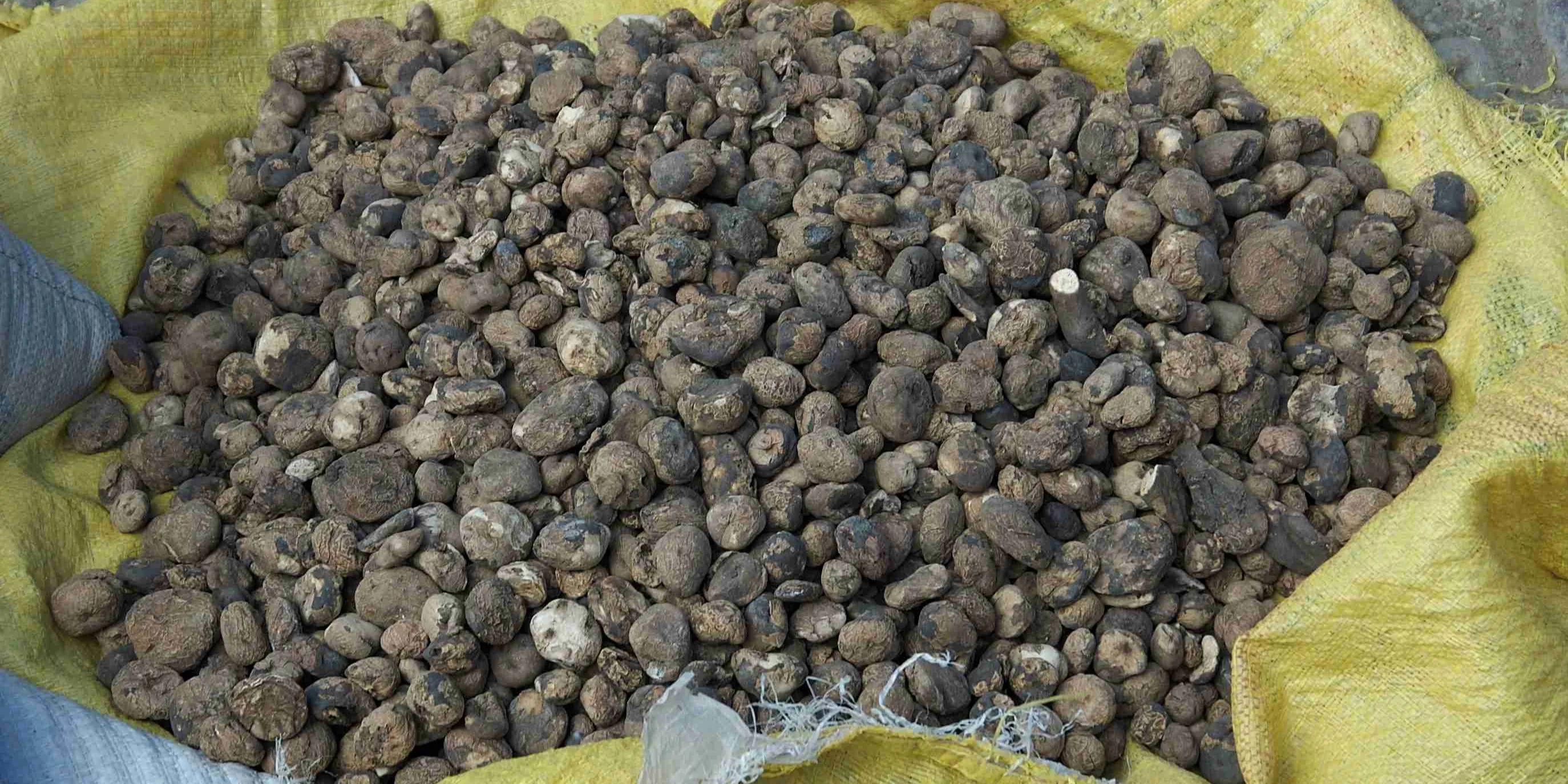 Are Chuños Gluten Free?