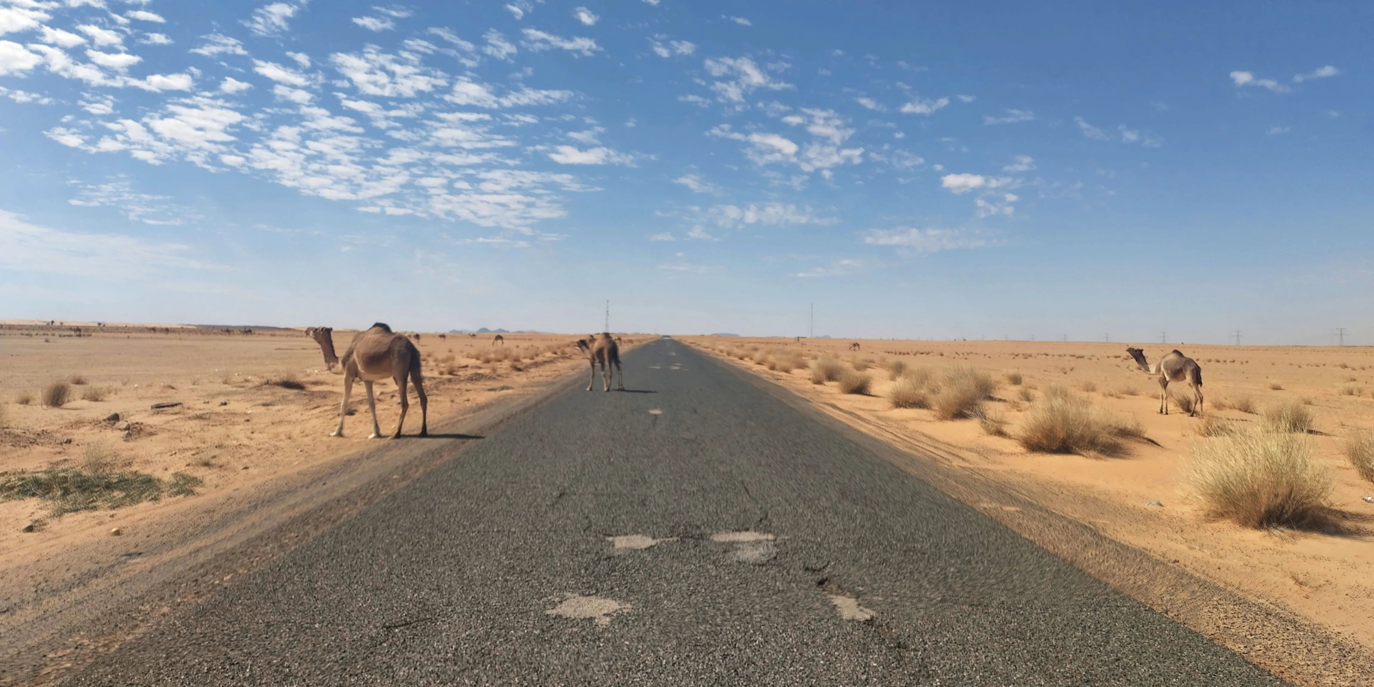 Mauritania: A Gluten Free Guide