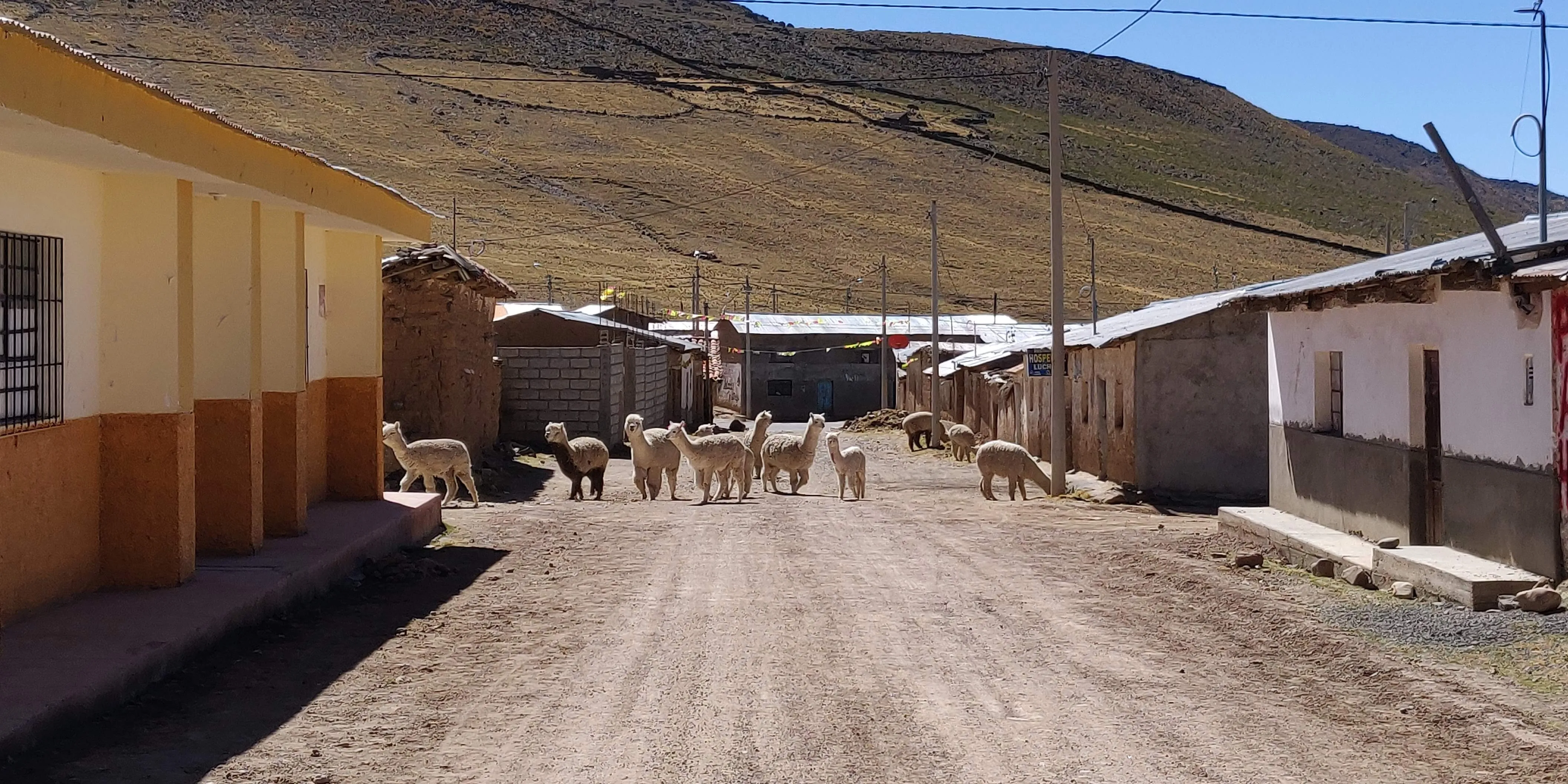 Peru: A Gluten Free Guide