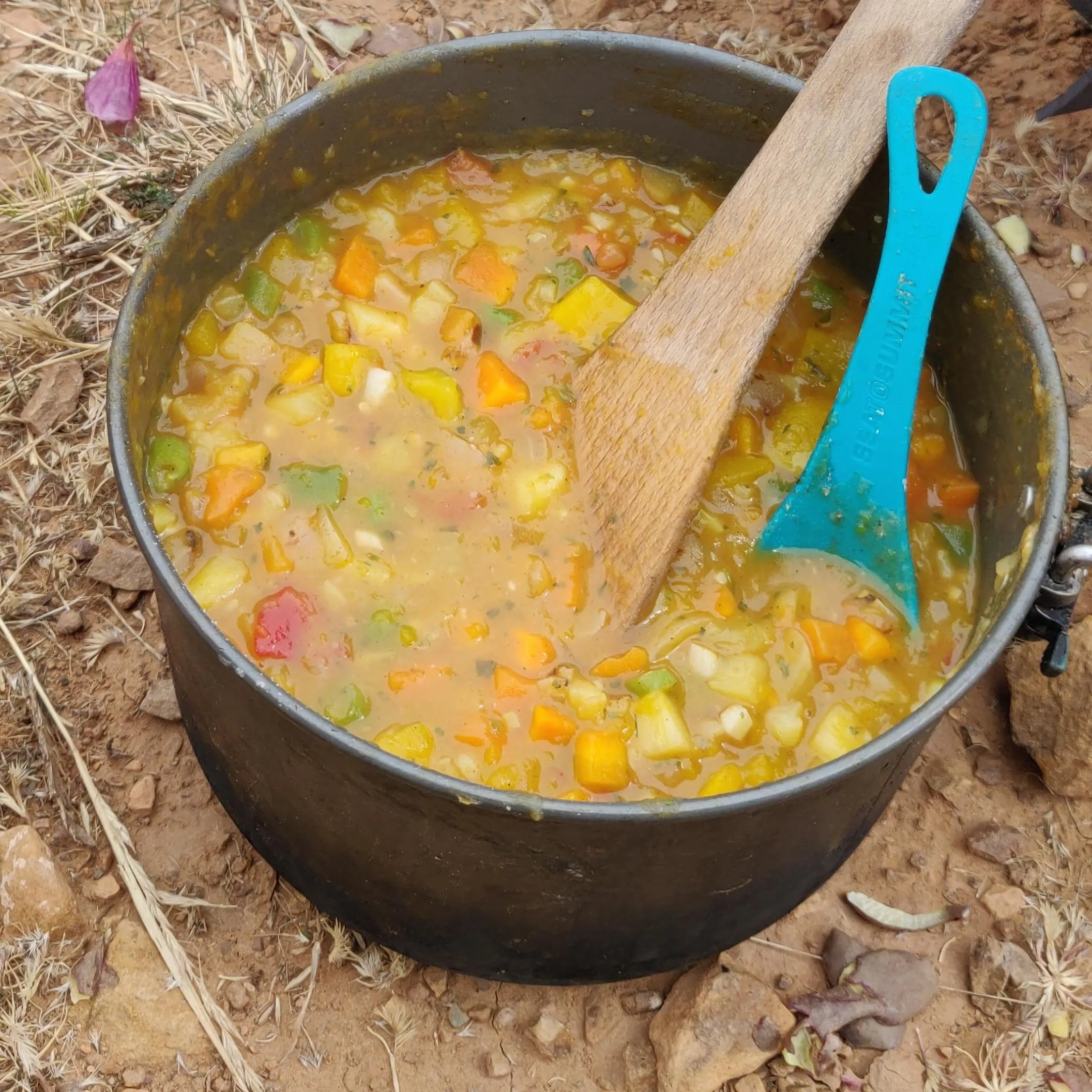 A vegetable stew in a camping pot