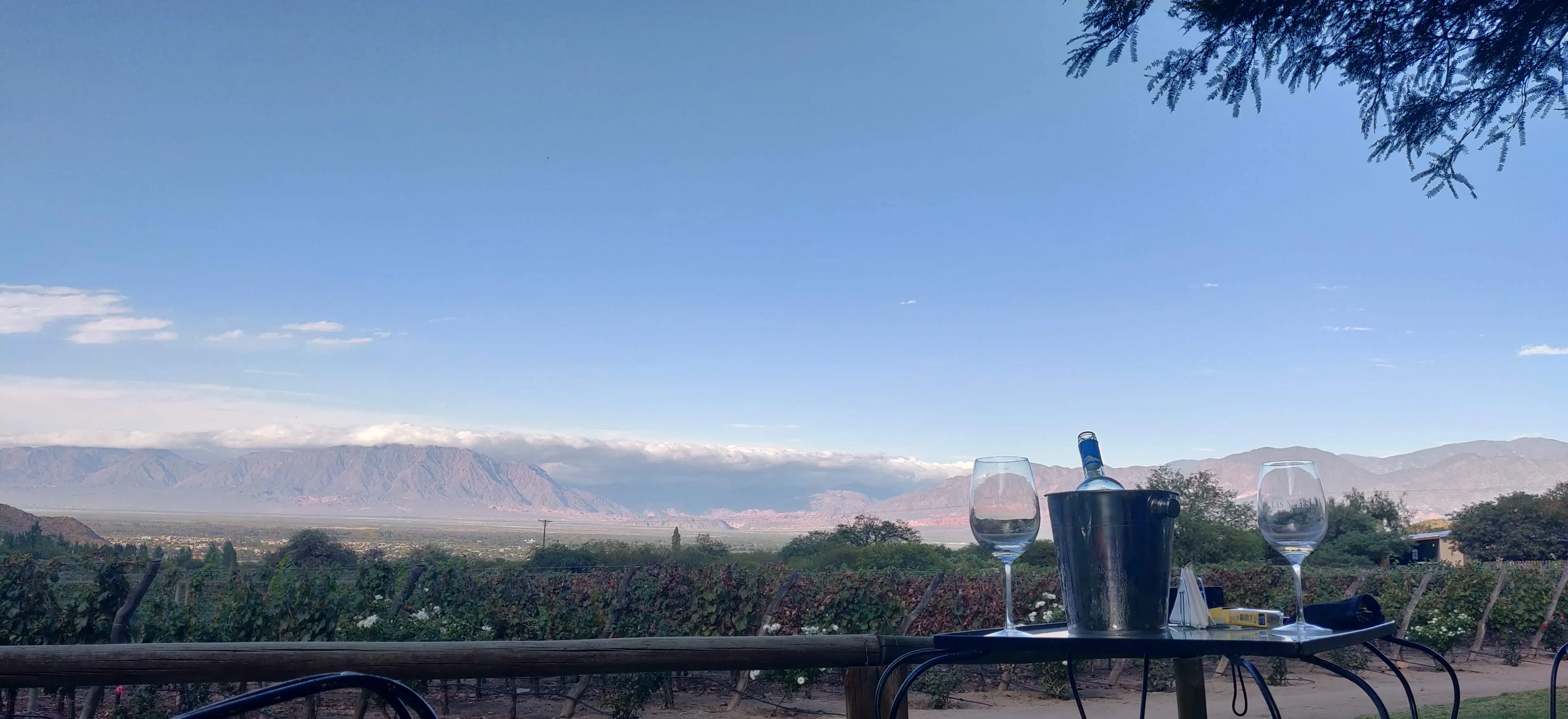 Glasses of wine with a view of the Andes and a vineyard