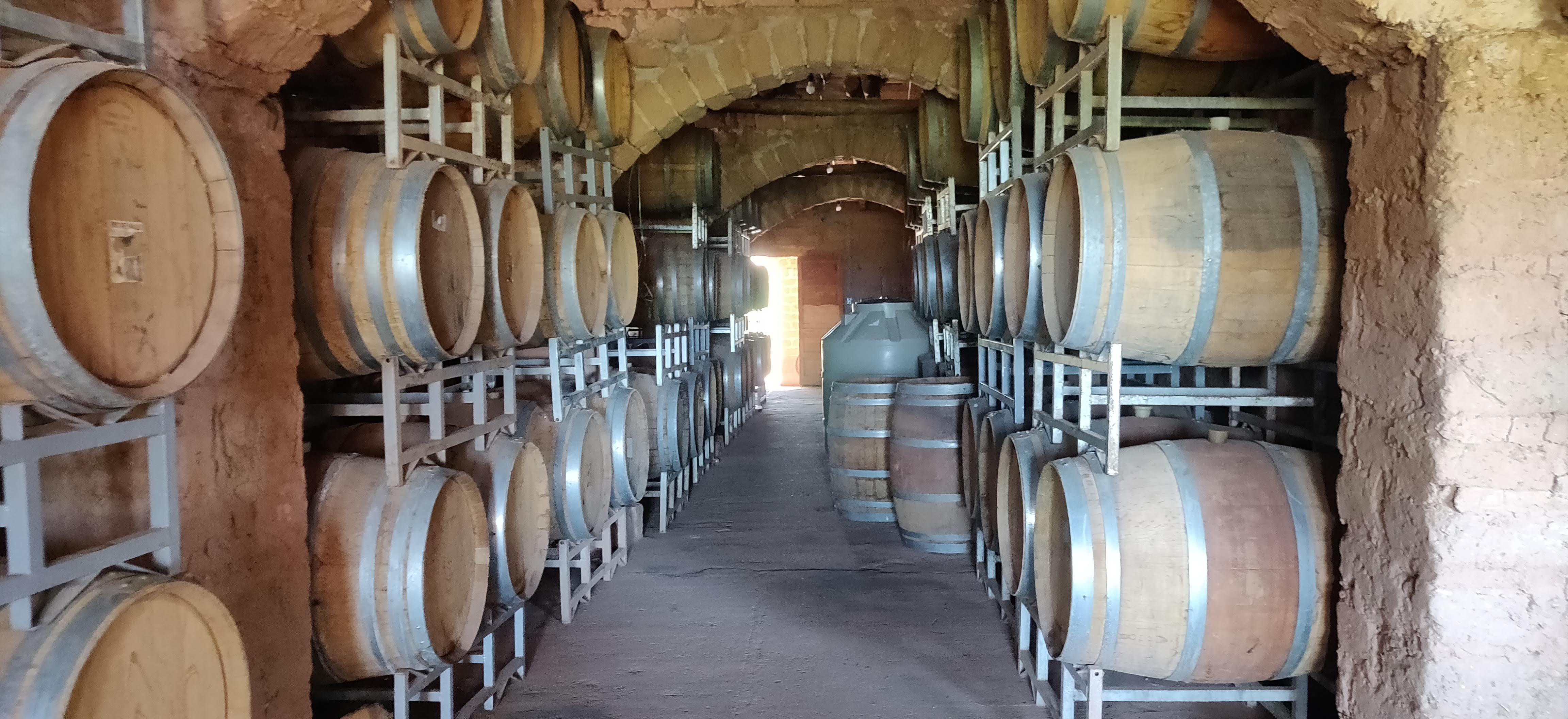 Wine barrels in Finca Las Nubes