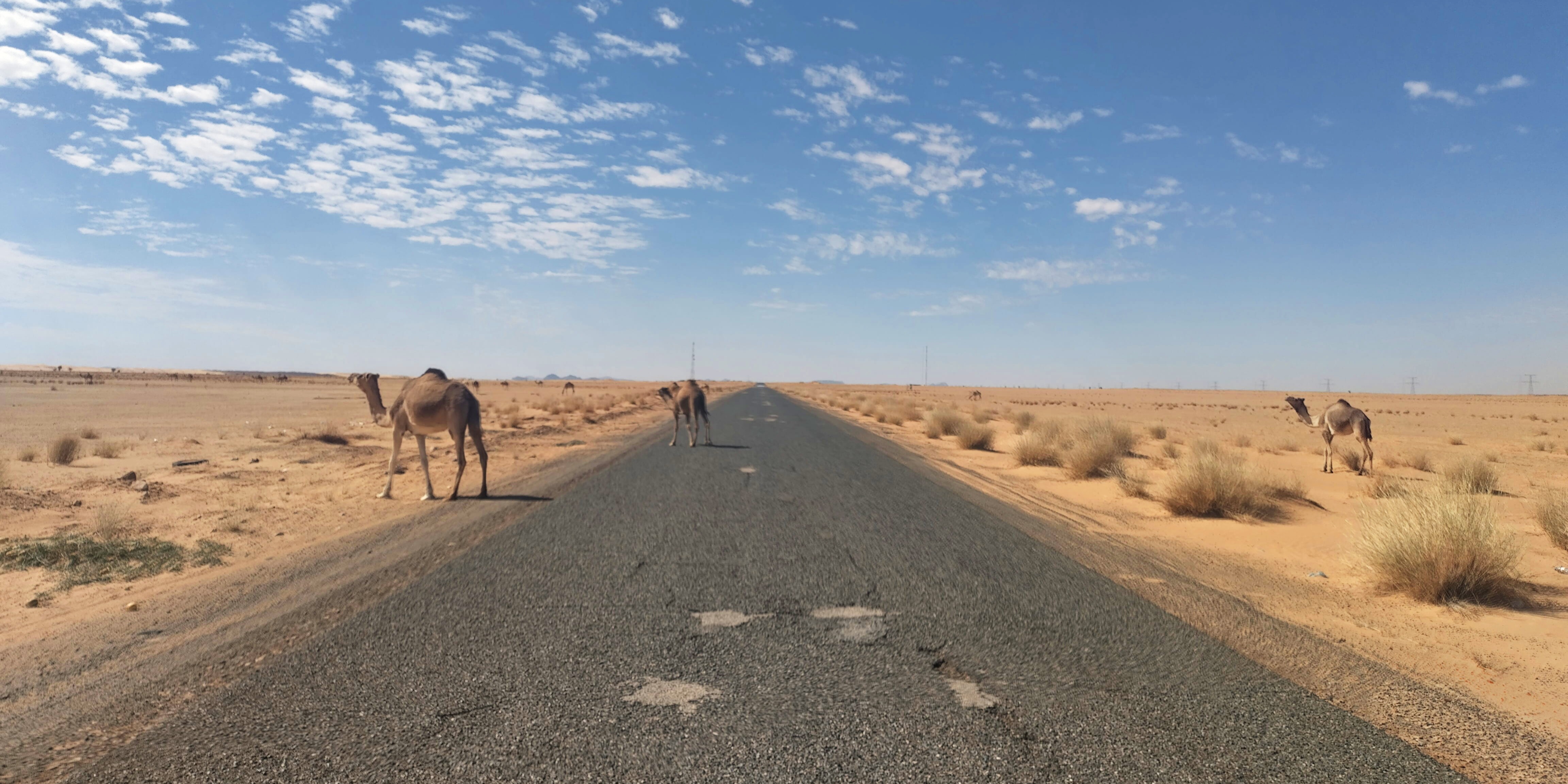 Mauritania: A Gluten Free Guide