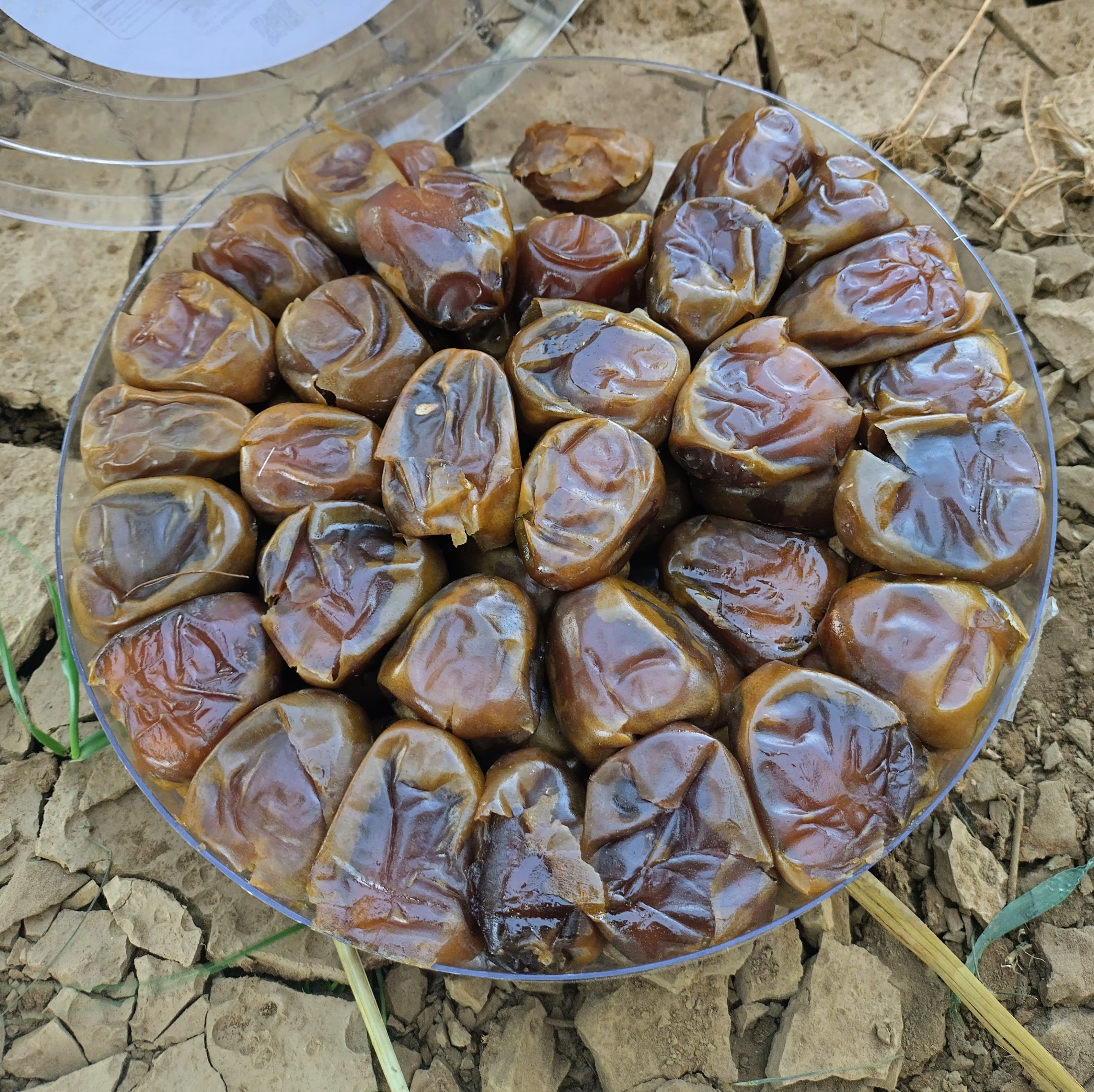 Moroccan dates